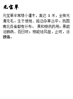 文本框: 元宝草元宝草半常绿小灌木，高达1米，全株光滑无毛。生于坡地、路边杂草丛中。我国南北各省都有分布。 果和根供药用；果能治肺病、百日咳；根能祛风湿，止咳，治腰痛。